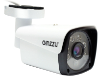 IP-камера Ginzzu HIB-2301A - 