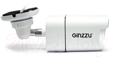 IP-камера Ginzzu HIB-2302B
