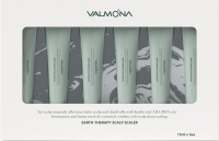 Ампулы для волос Evas Valmona Earth Therapy Scalp Scaler (6x15мл) - 