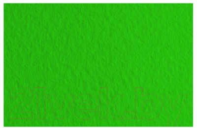 Бумага для рисования Fabriano Tiziano / 21297137 (темно-зеленый)