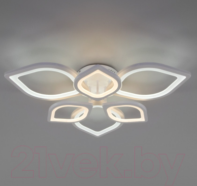 

Потолочный светильник Евросвет, Garden 90228/6