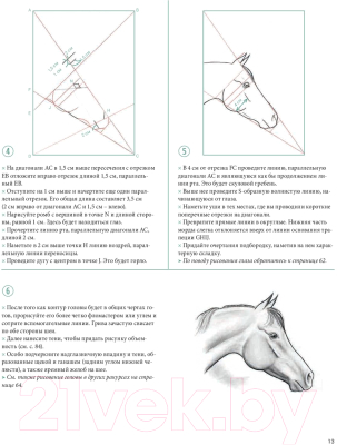 Книга Попурри Рисуем лошадей. Простой метод, основанный на геометрии (Колатрелла М.)