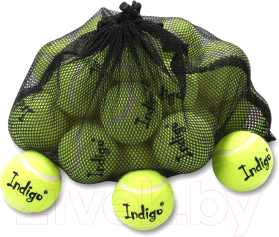 Набор теннисных мячей Indigo IN154 (24шт, желтый)