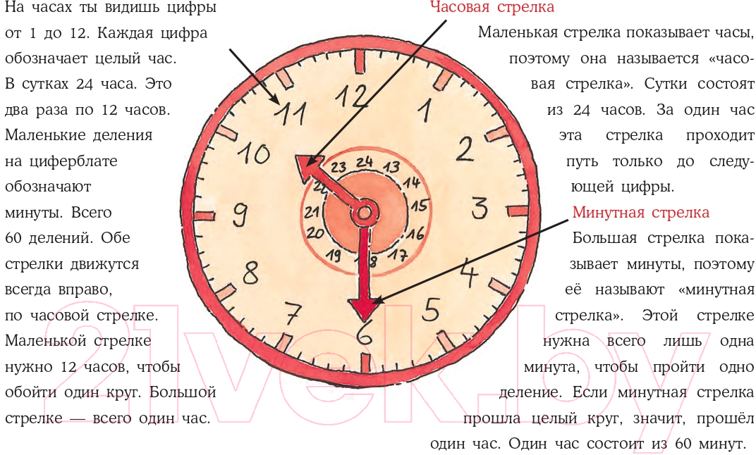 Художественная книга Альпина Конни учится определять время (Серенсен Х.) — фото 5