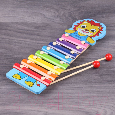 Музыкальная игрушка Darvish Ксилофон / DV-T-1593 (деревянный)