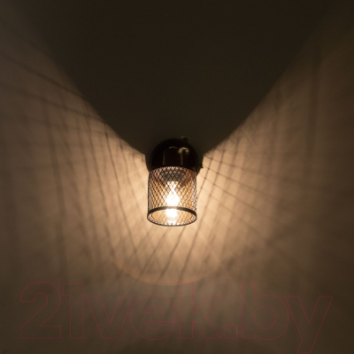 Изображение товара Спот Citilux Робин CL535615