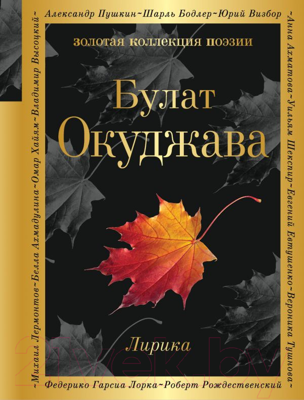 Художественная книга Эксмо Лирика (Окуджава Б.) — фото 1