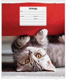 

Тетрадь ArtSpace, Питомцы. Where your friend / Т12пл-7878