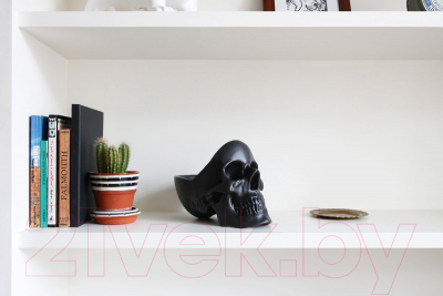 Изображение товара Органайзер для хранения Suck UK Skull / SK TIDYSKULL2 (черный)