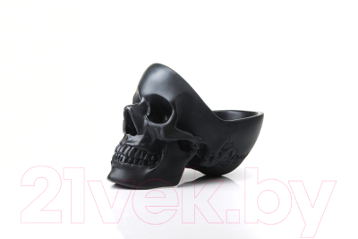 Изображение товара Органайзер для хранения Suck UK Skull / SK TIDYSKULL2 (черный)