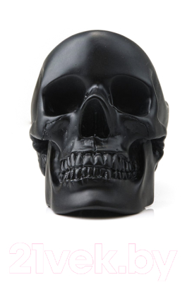 Изображение товара Органайзер для хранения Suck UK Skull / SK TIDYSKULL2 (черный)