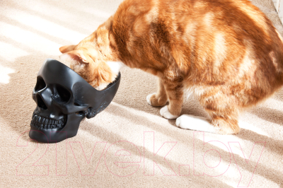 Изображение товара Органайзер для хранения Suck UK Skull / SK TIDYSKULL2 (черный)