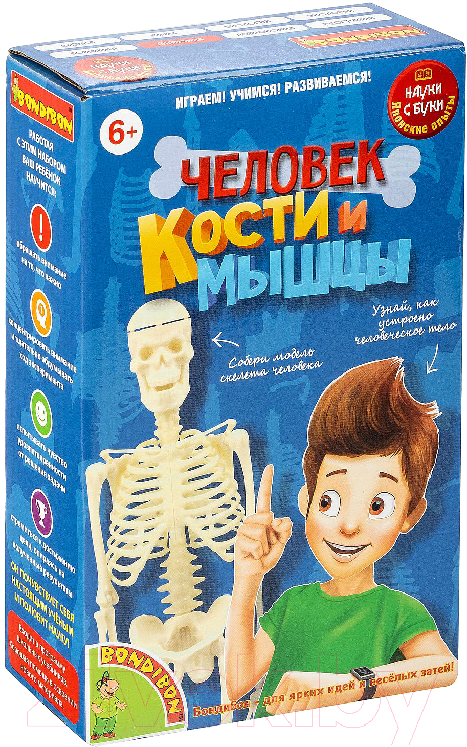 Научная игра Bondibon Японские опыты. Человек. Кости и мышцы / ВВ4728