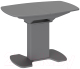 Обеденный стол ТриЯ Портофино СМ(ТД)-105.01.11(1) (серый/стекло серое матовое Lux) - 