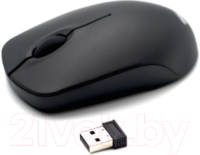 Мышь Ritmix RMW-506 (черный)