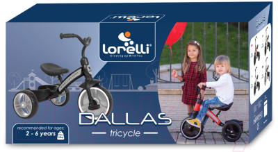 Трехколесный велосипед Lorelli Dallas Grey / 10050500005