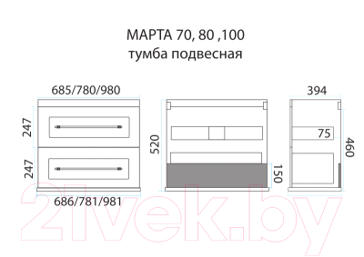 Тумба с умывальником Misty Марта 100 / П-Мрт-01100-2513П + Evva-100 D (подвесная)