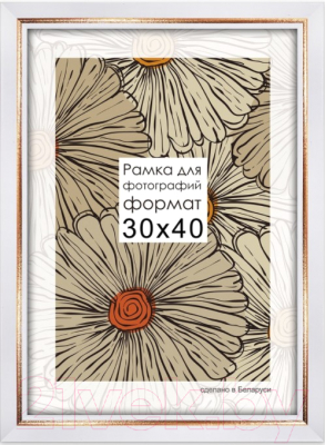 

Рамка ПАЛИТРА, 2219/65 35x45