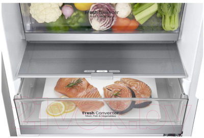 Холодильник с морозильником LG DoorCooling+ GA-B509SAUM