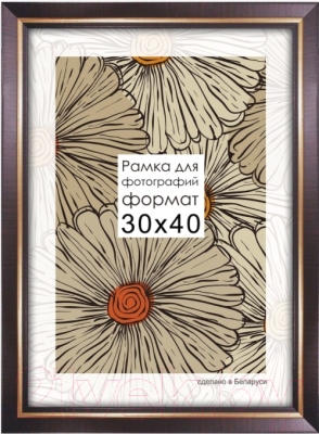 

Рамка ПАЛИТРА, 2219/16 40x60