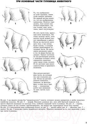 Книга Попурри Как рисовать животных (Хамм Дж.)