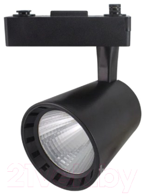 Трековый светильник TDM SQ0369-0011