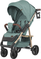 

Детская прогулочная коляска Baby Tilly, Eco T-166