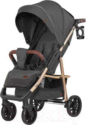 Детская прогулочная коляска Baby Tilly Eco T-166 (Midnight Gray)