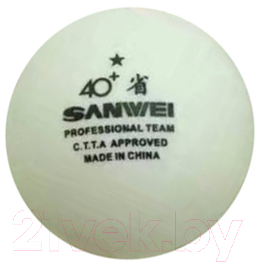 Набор мячей для настольного тенниса Sanwei ABS 40+ 1* / 40173 (100шт)