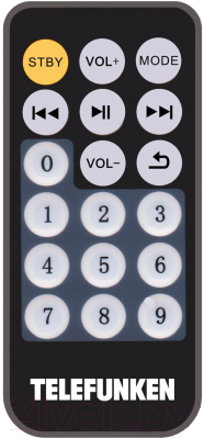 Портативная колонка Telefunken TF-PS2206 (черный)
