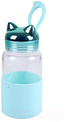 Бутылка для воды Darvish Котик / DV-H-1306 (340мл)