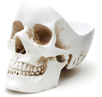 

Органайзер для хранения Suck UK, Skull / SK TIDYSKULL1