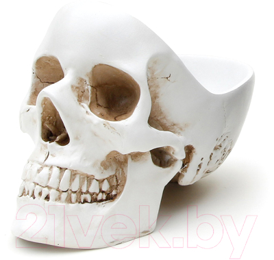 

Органайзер для хранения Suck UK, Skull / SK TIDYSKULL1