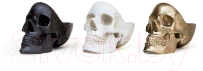 Изображение товара Органайзер для хранения Suck UK Skull / SK TIDYSKULL2 (черный)