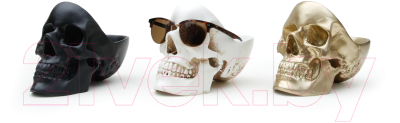 Изображение товара Органайзер для хранения Suck UK Skull / SK TIDYSKULL2 (черный)