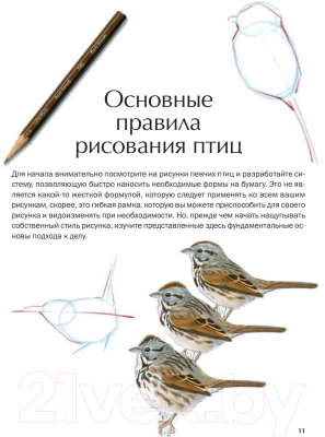 Книга Попурри Как рисовать птиц (Лоуз Д.)