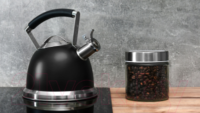 Чайник со свистком Ardesto Black Mars / AR0747KS (2.5л, черный)