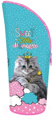 

Пенал Оникс, ПМО 04-20 Тубус Magic Cat