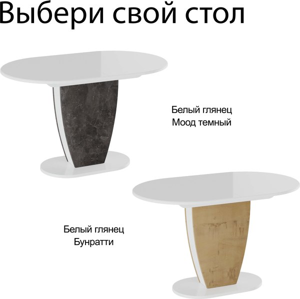 Обеденный стол ТриЯ Монреаль тип 1 (белый глянец/моод темный)