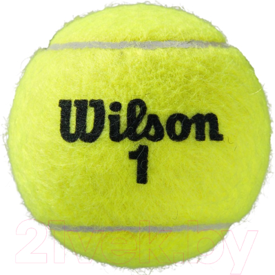 Набор теннисных мячей Wilson Roland Garros / WRT126400 (3шт)
