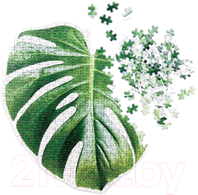 

Пазл Doiy, Monstera / DYPUZZLMO