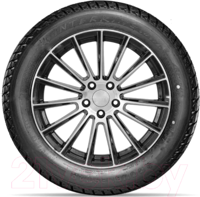 Зимняя шина DoubleStar DW01 205/65R16 95T (шипы)