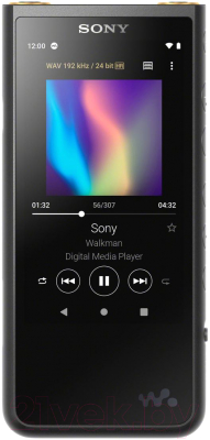 MP3-плеер Sony Walkman ZX500 / NW-ZX507B