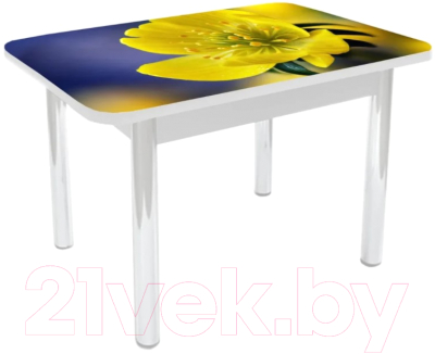 Обеденный стол Solt Роззи 3 №91 с обвязкой (кромка белая/царга белая/ноги белые)