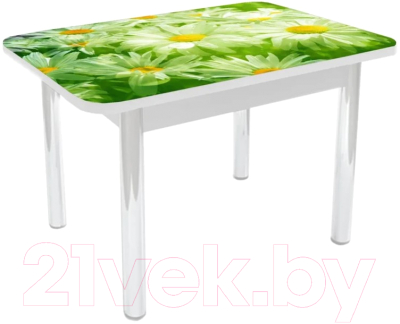 Обеденный стол Solt Роззи 2 №112 с обвязкой (кромка белая/царга белая/ноги белые)