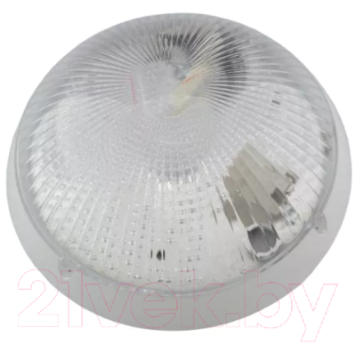 

Светильник ЖКХ Mirsa, 118.025 IP65