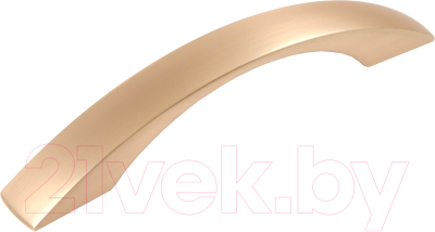 

Ручка для мебели Boyard, AL RS227MBSG.4/128