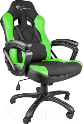 Кресло геймерское GENESIS Nitro 330 NFG-0906 Gaming (черный/зеленый)