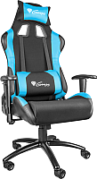 

Кресло геймерское GENESIS, Nitro 550 NFG-0783 Gaming