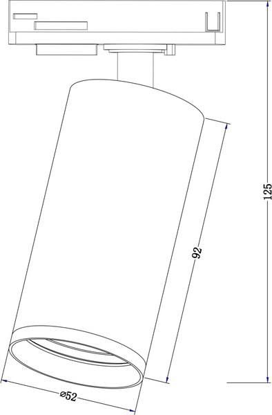 Трековый светильник Maytoni TR020-1-GU10-W